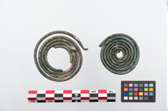 Foto von Bronzebrillenfibel (NHMW-PRAE-024200)